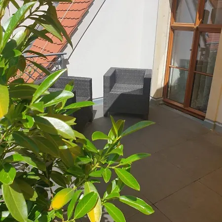 Modernes An Der Frauenkirche Appartement